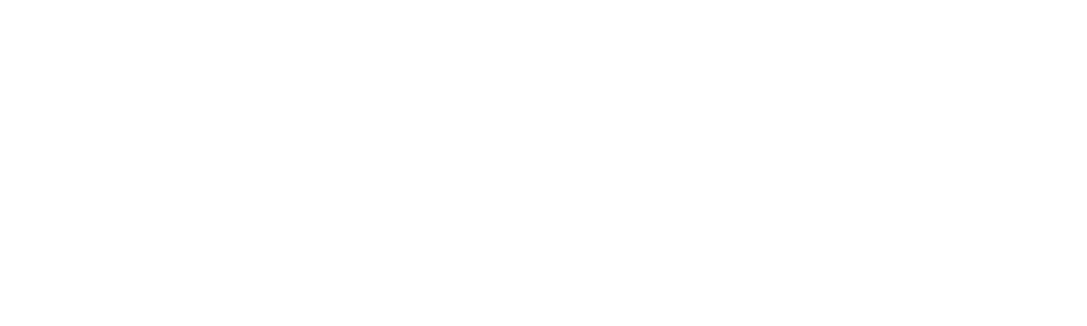 Pustervik